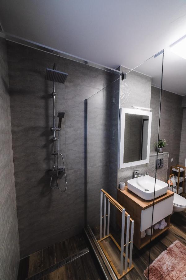 Kogalniceanu Apartments Sibiu Buitenkant foto